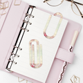 Jumbo Paperclip  - Shabby Chic Winter