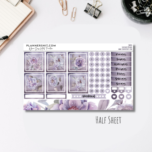Lavender Dreams (Cousin)