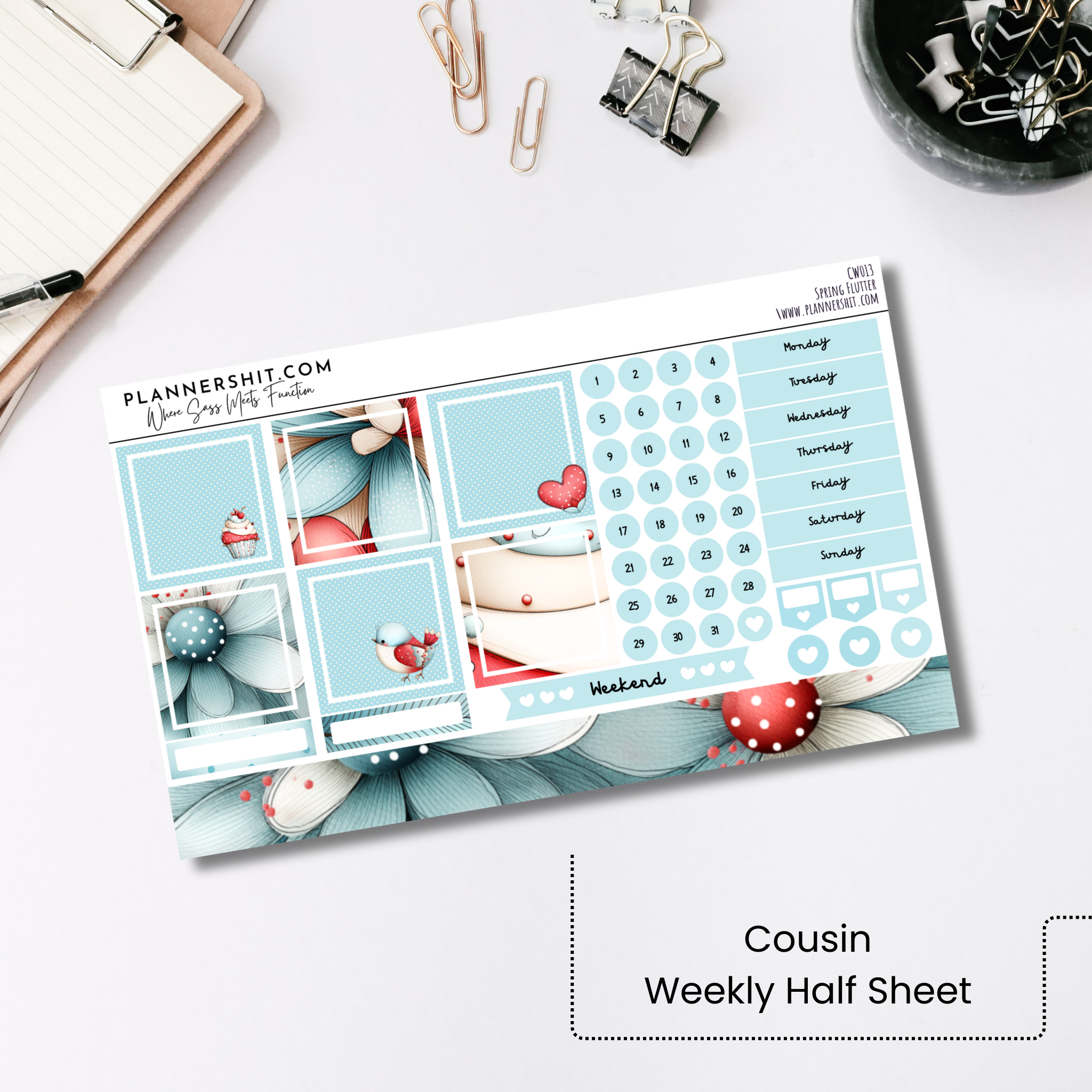 Spring Flutter (Cousin)