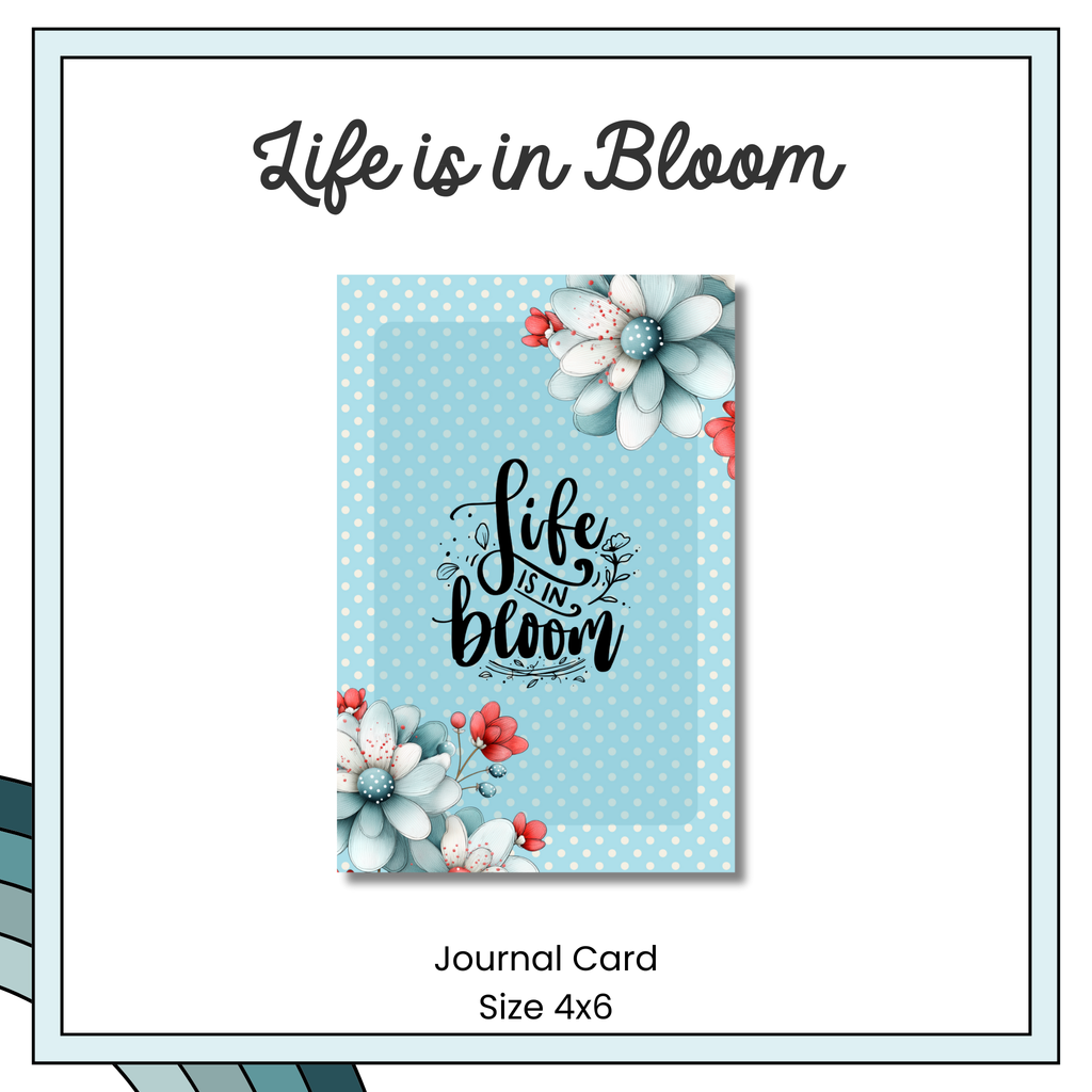 Journal Cards - Spring Flutter