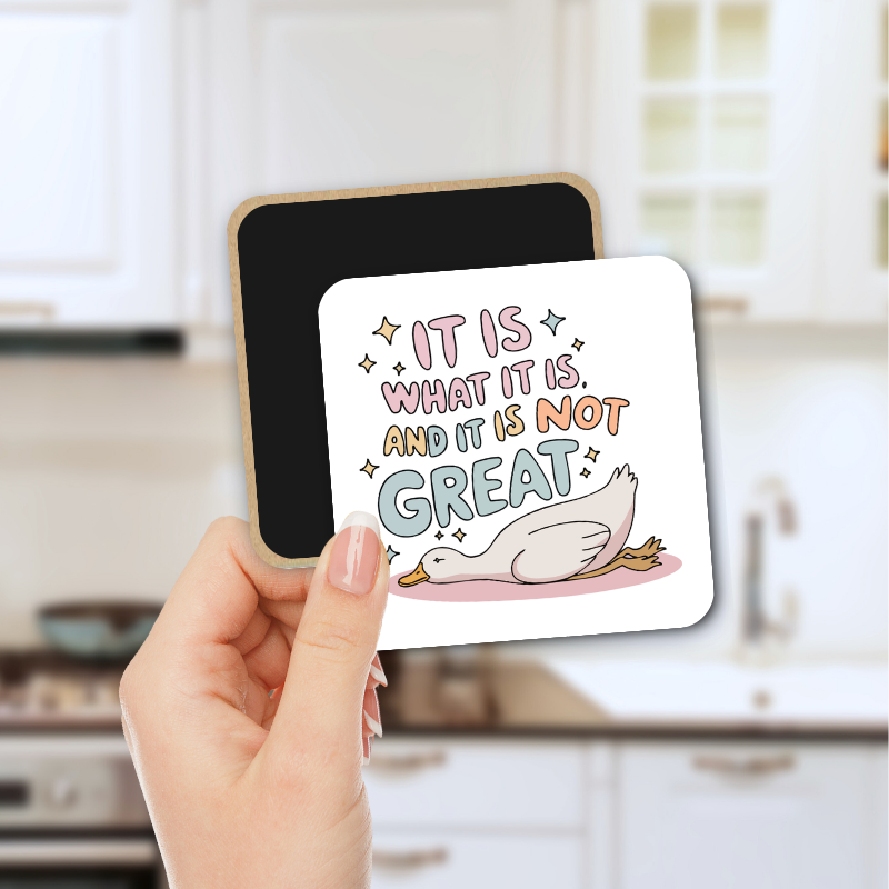 Magnet - It Is What It Is