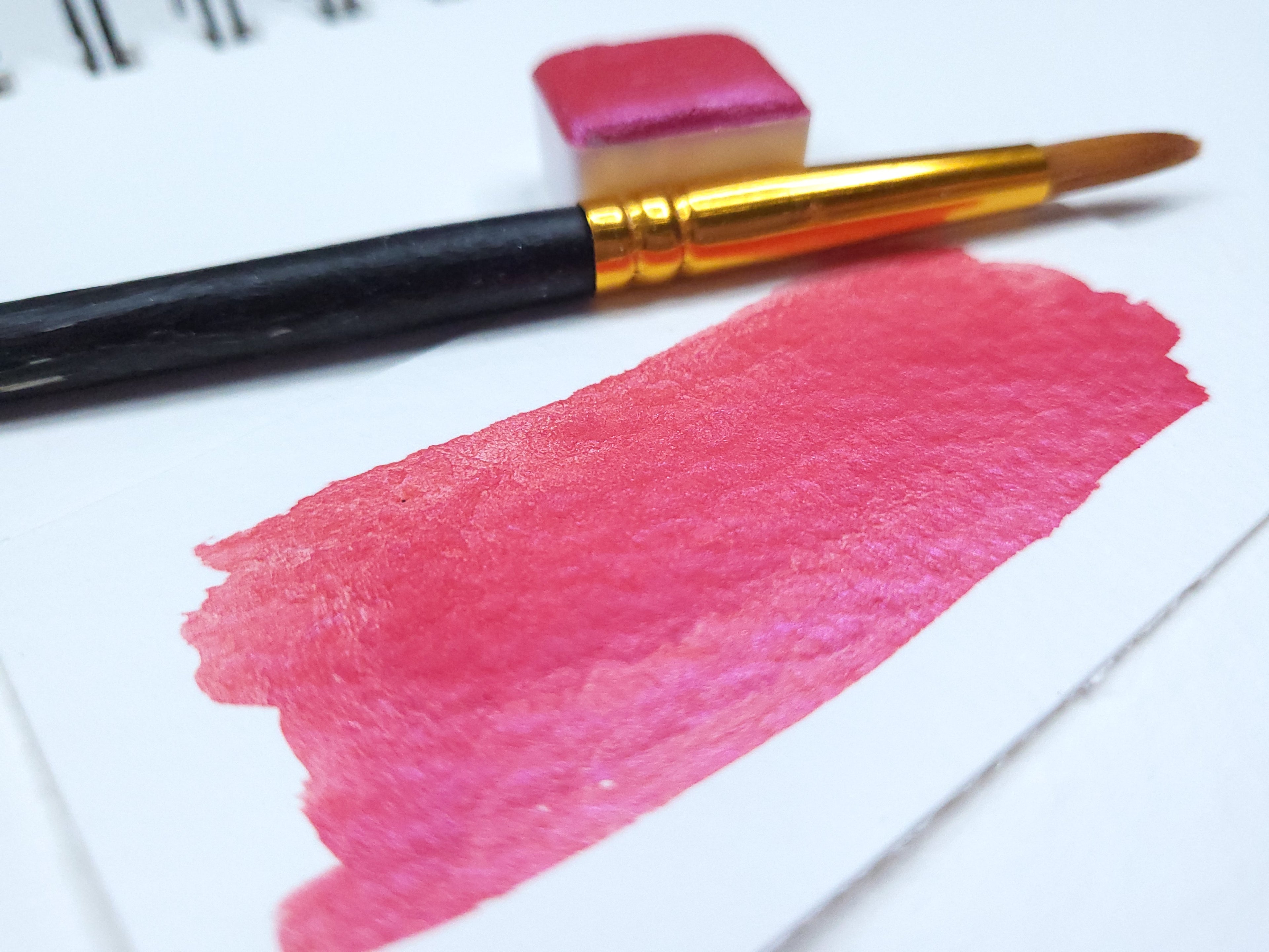 Watercolor Half Pan - Rosepetal