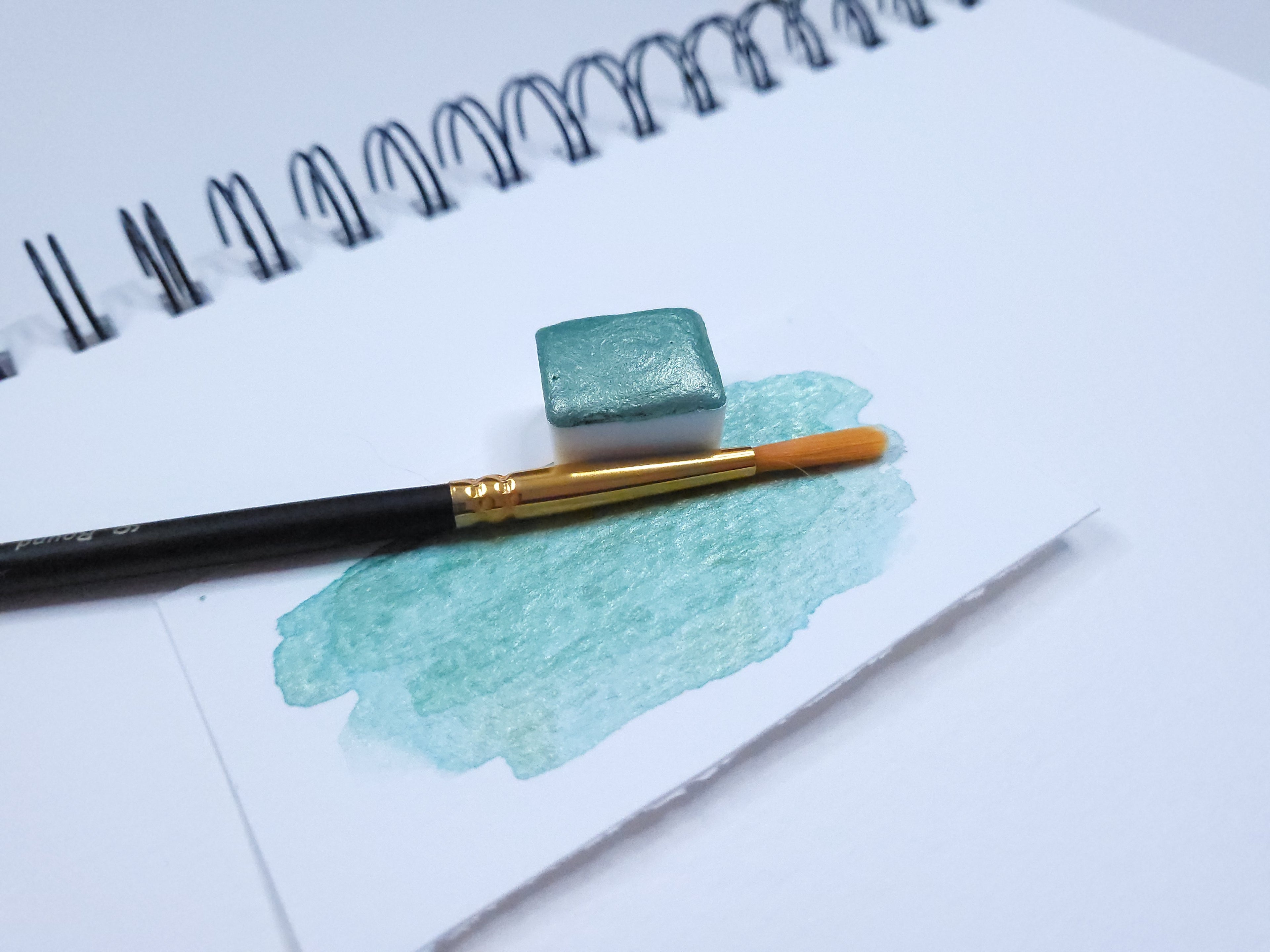 Watercolor Half Pan - Spruce