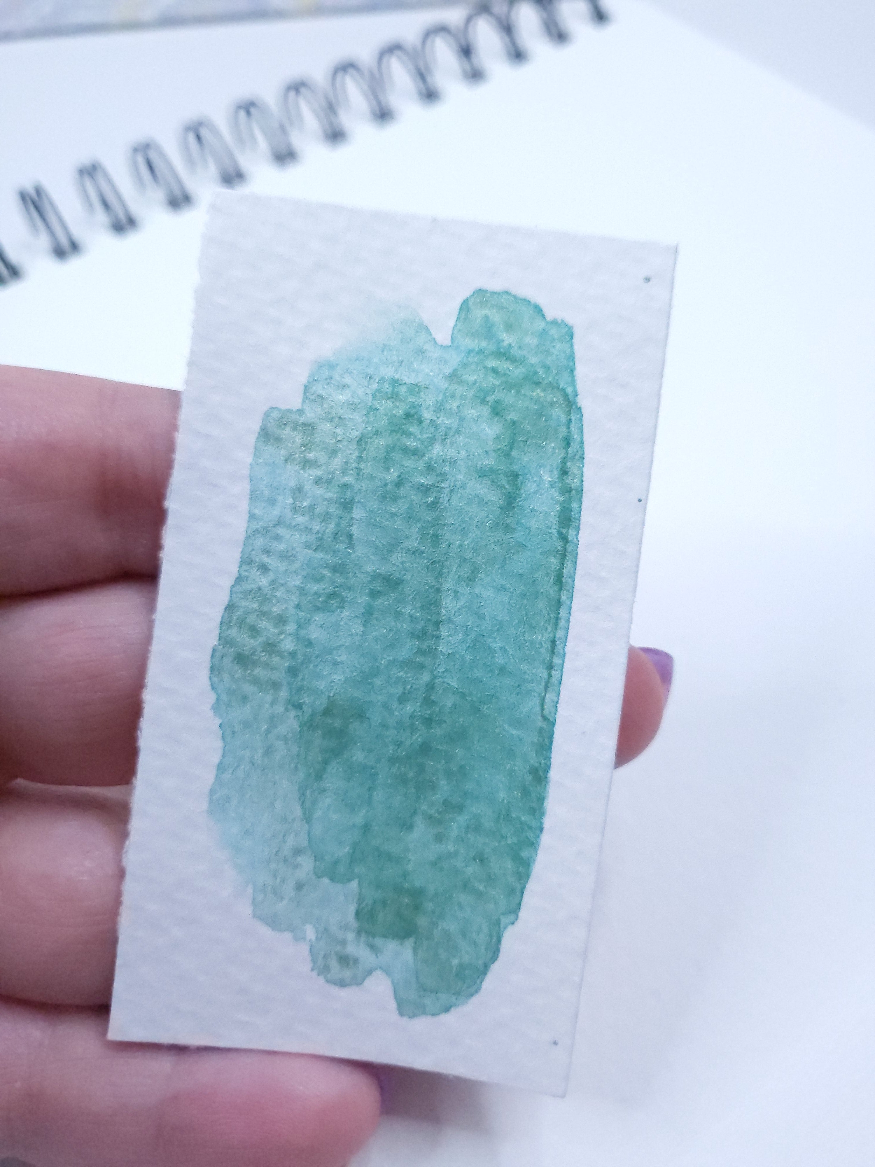 Watercolor Half Pan - Spruce