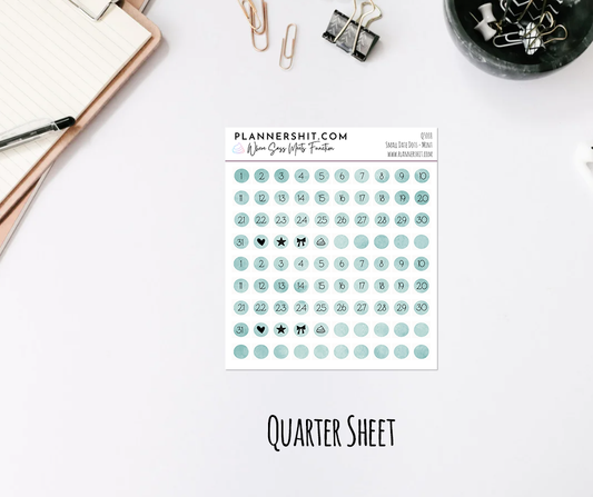Functional Quarter Sheet - Small Date Covers - Mint